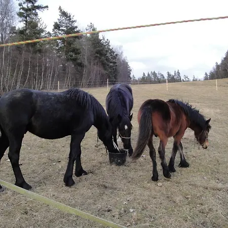 Lägenhet Opolenec Kasperske Hory