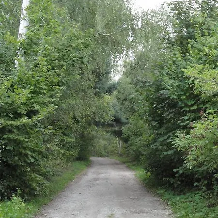 Opolenec Kasperske Hory
